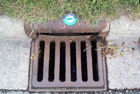 Soon, your stormdrain could look like this!